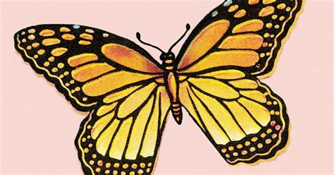 The Butterfly Sex Position: What It Is